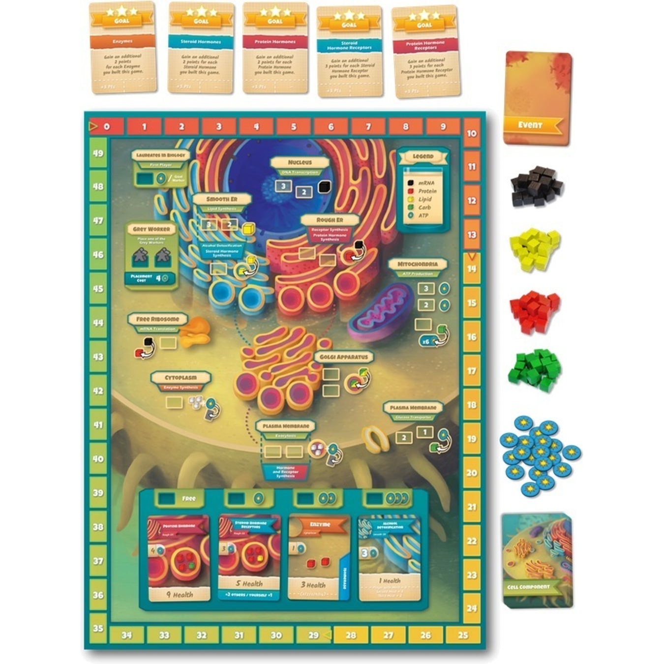 Cytosis : A Cell Biology Game - Collector Edition